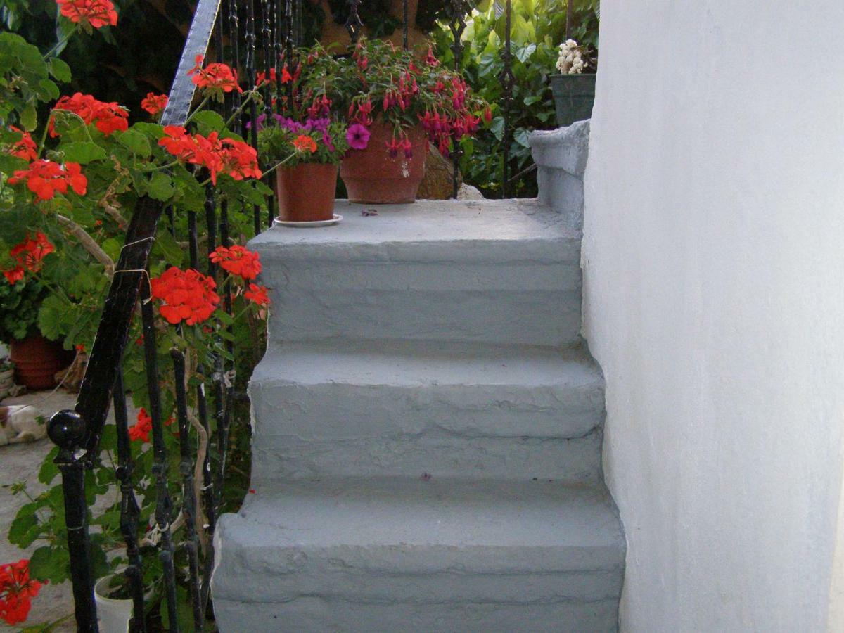 فيلا Aerinos House المظهر الخارجي الصورة